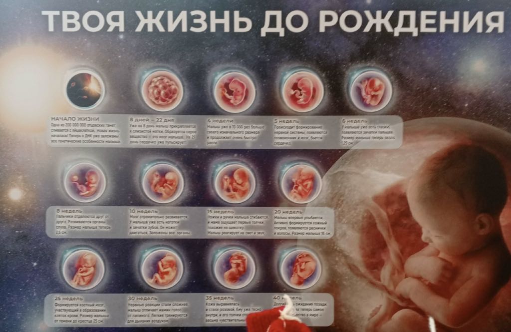В Перинатальном центре Стерлитамака дан старт уникальному просветительскому проекту (Республика Башкортостан)